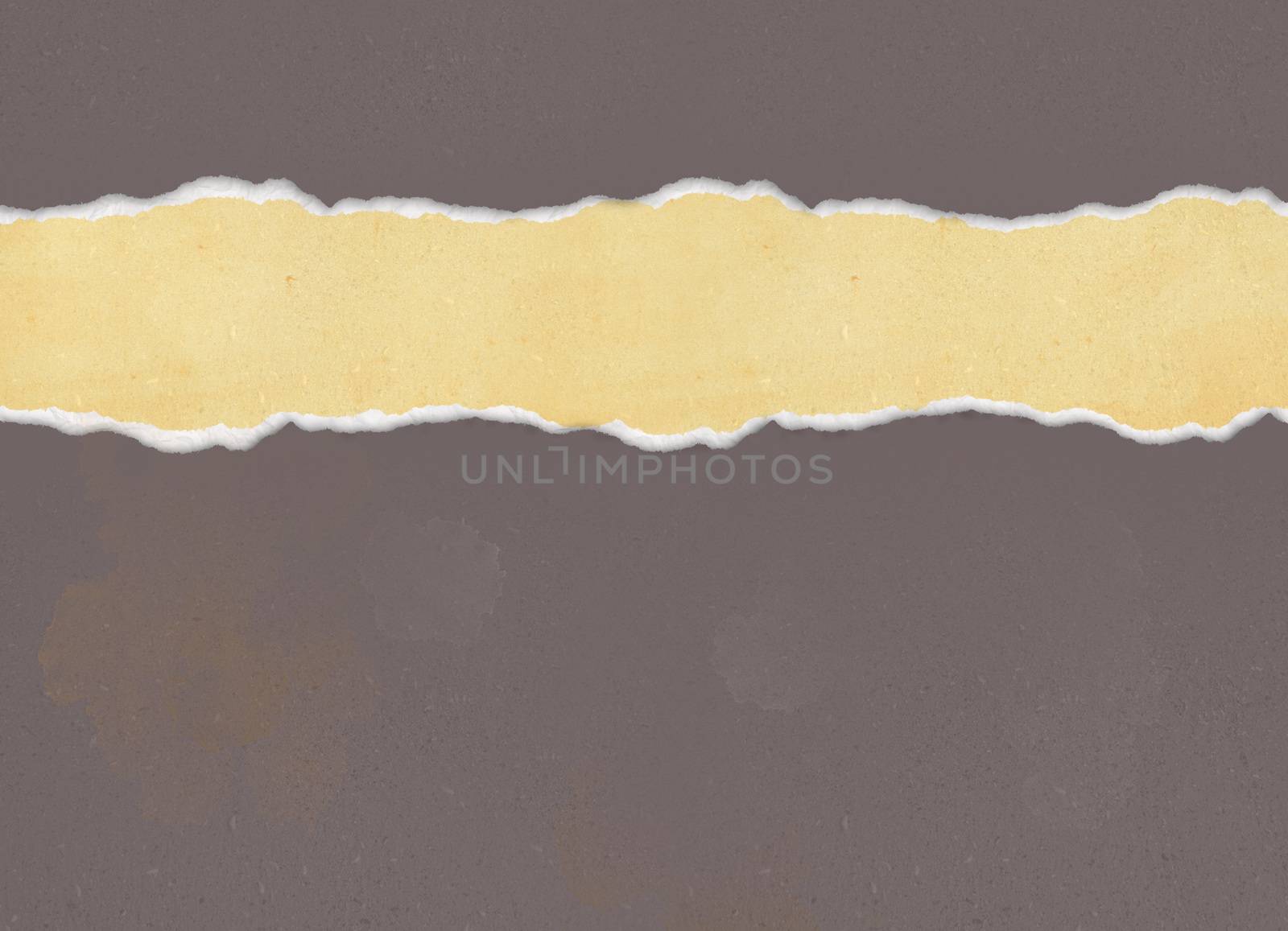 Horizontal  ripped paper for background by vitanovski