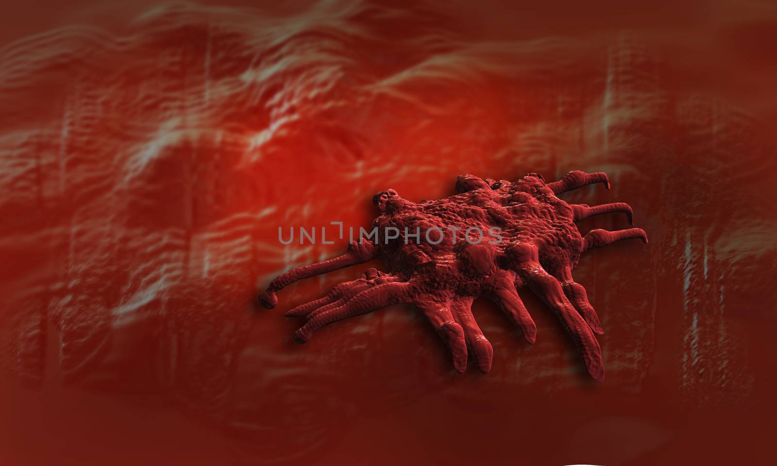 cancer cell by vitanovski