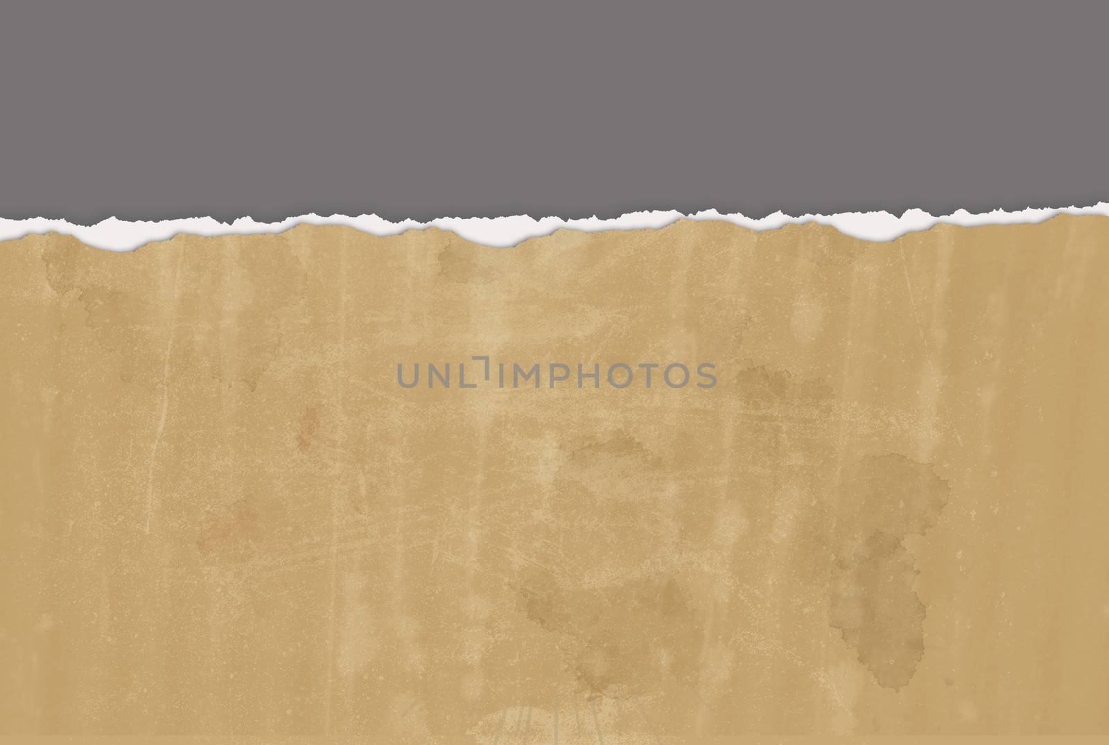 Horizontal  ripped paper for background by vitanovski