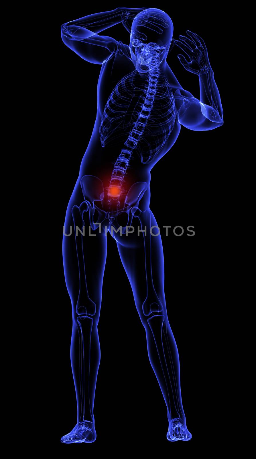 Human back by vitanovski