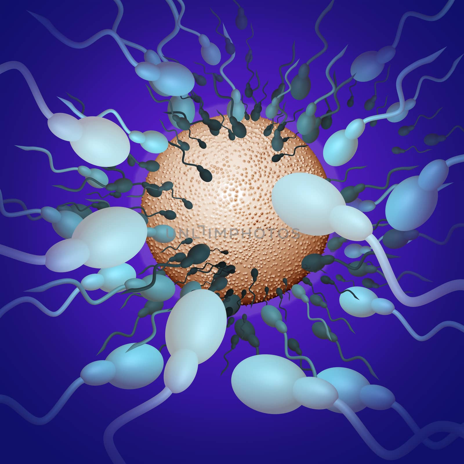 sperms heading towards egg made in 3d software