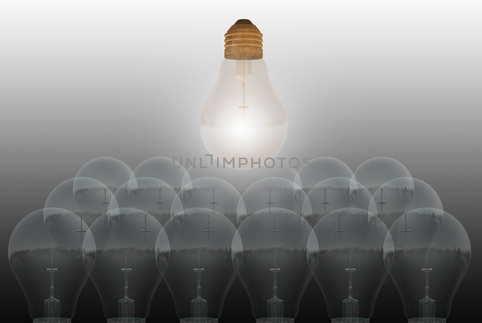 The Bulbs by vitanovski