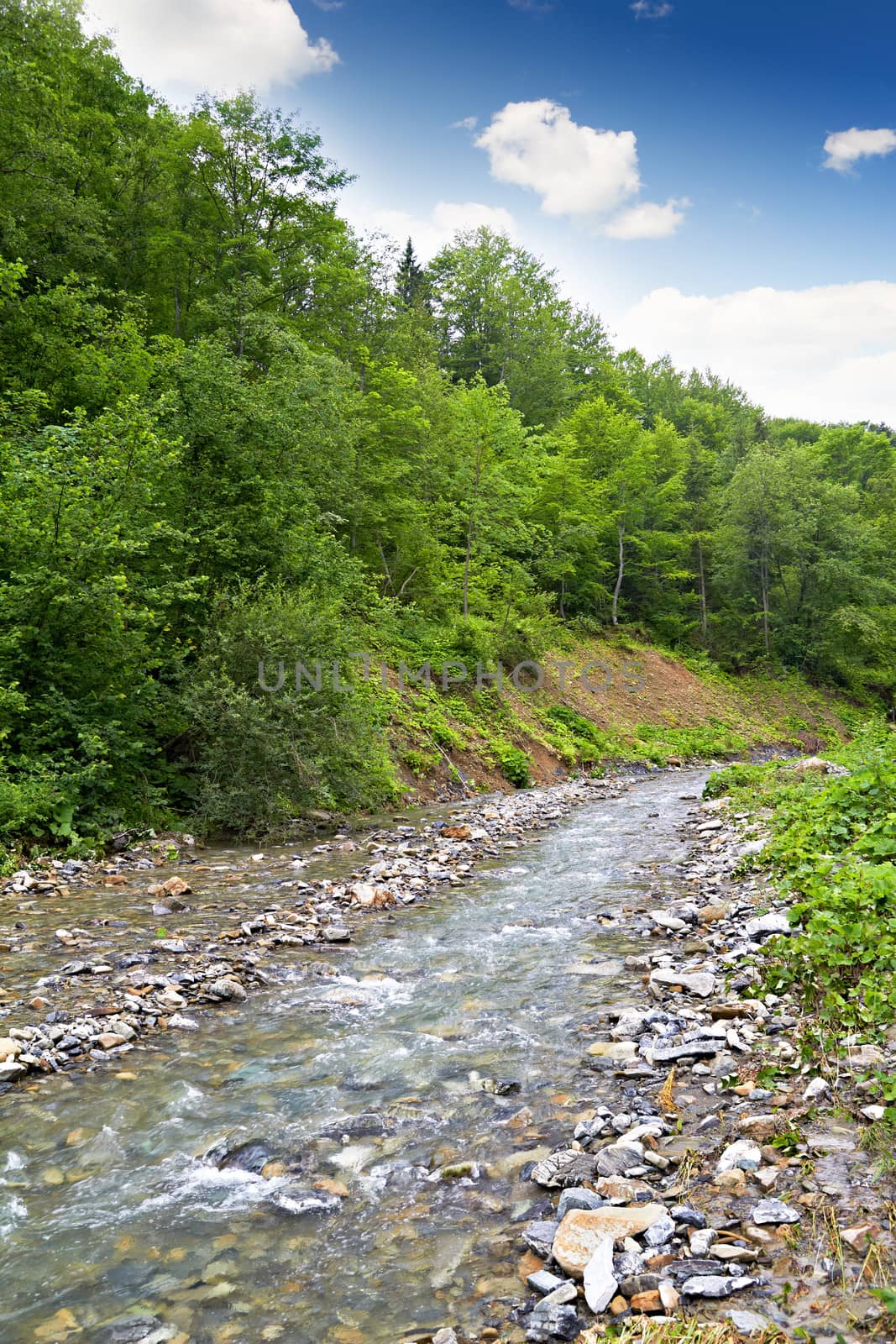 Wooden bridge over a mountain river in the forest