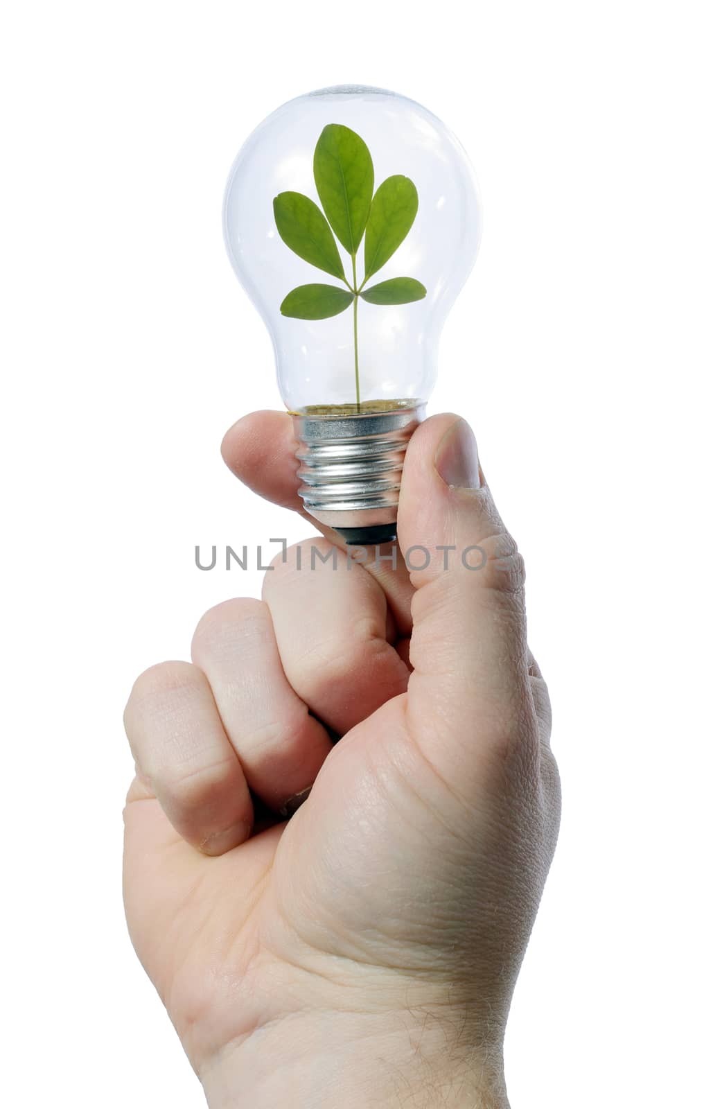 man holding light bulb in his hand - green concept