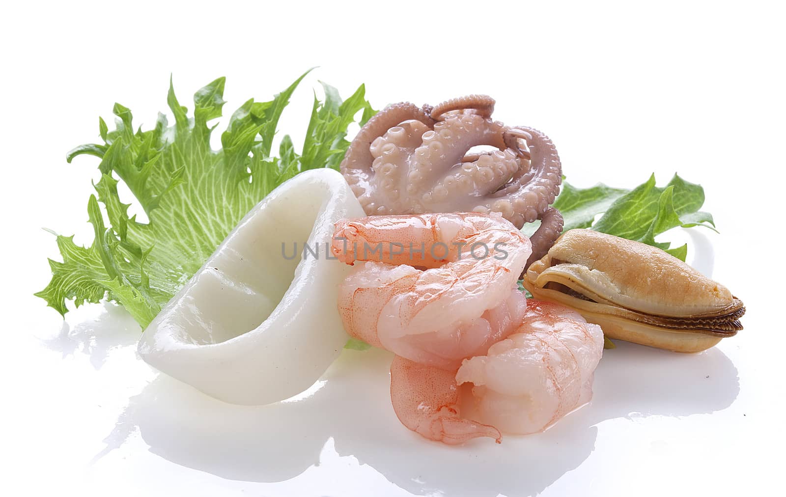 Squid, shrimps, octupus and mussel on the green fresh lettuce