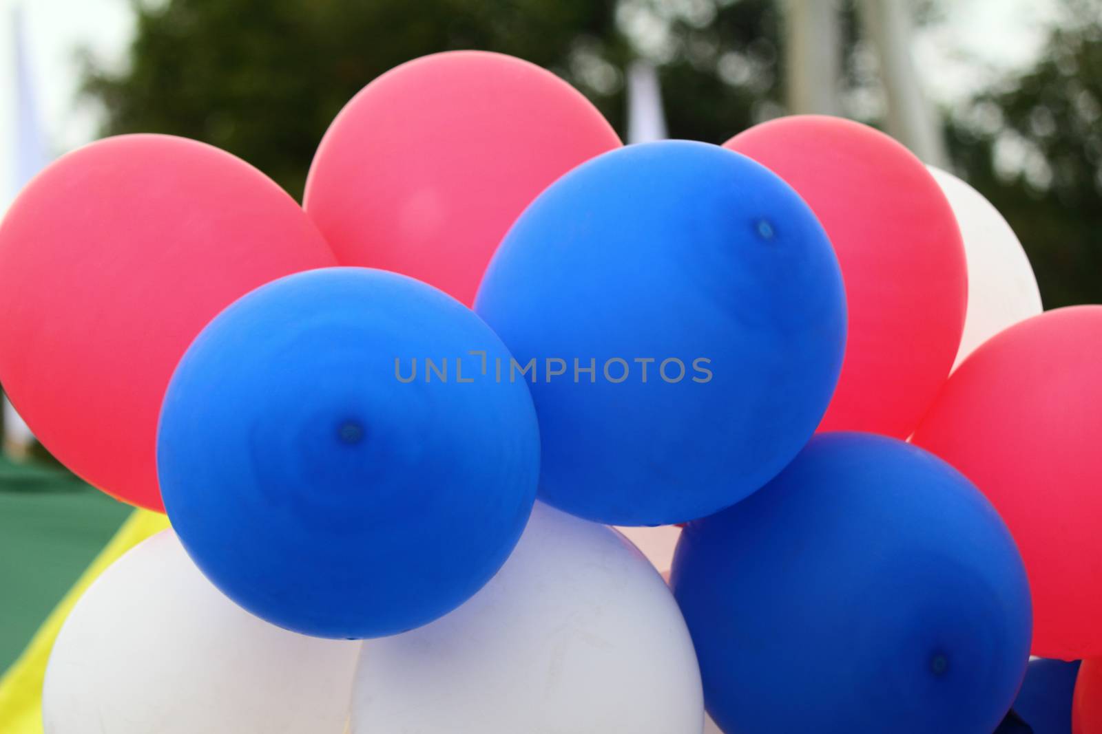 Beautiful, bright, red and blue air balloons, filled with gas and tied together.