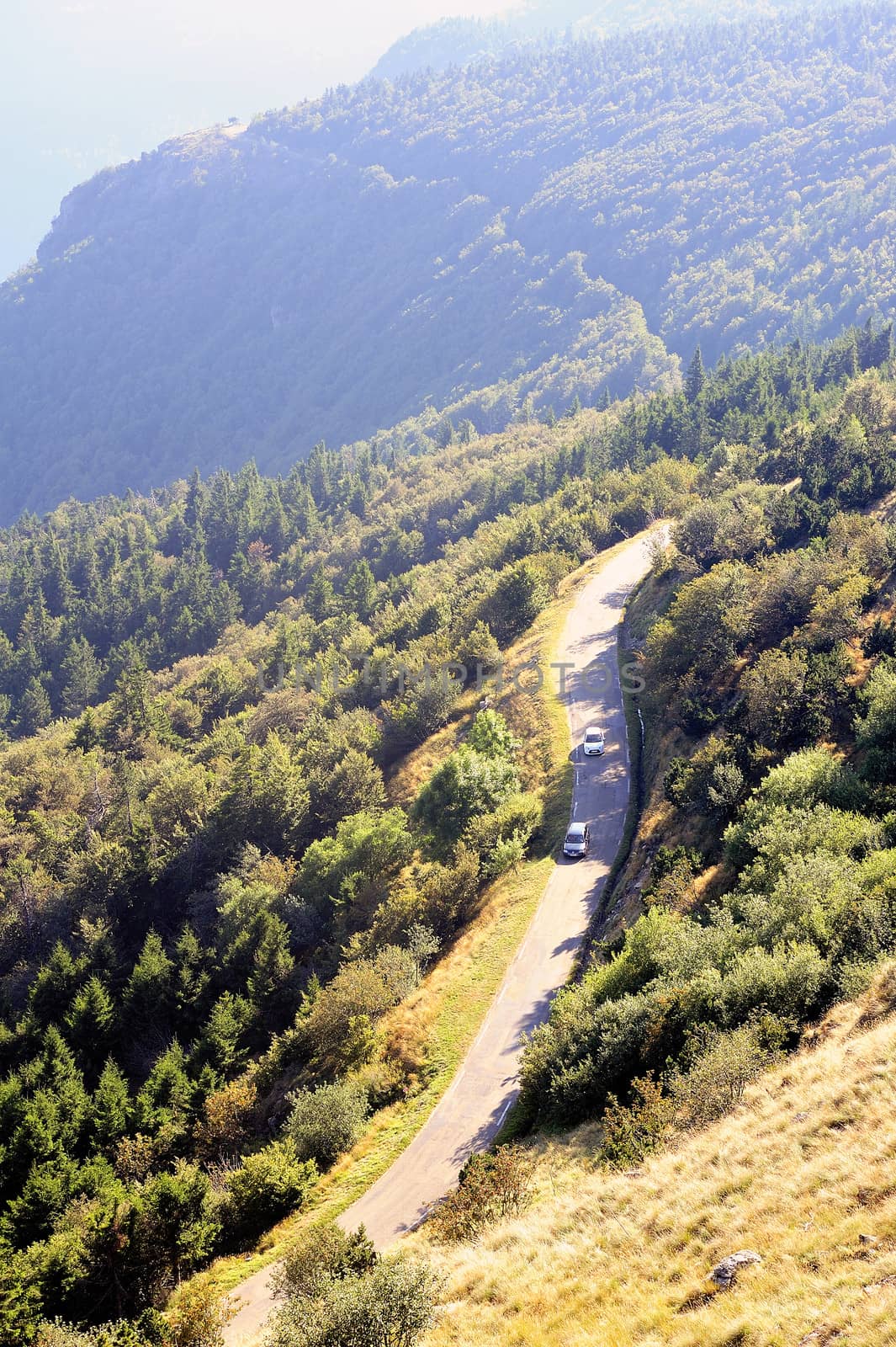 Mountain road in the Cevennes National Park.