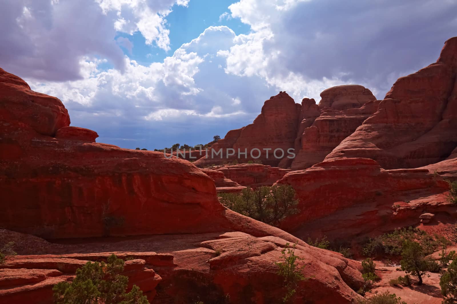 Red Desert, Arches National Park, Utah, USA