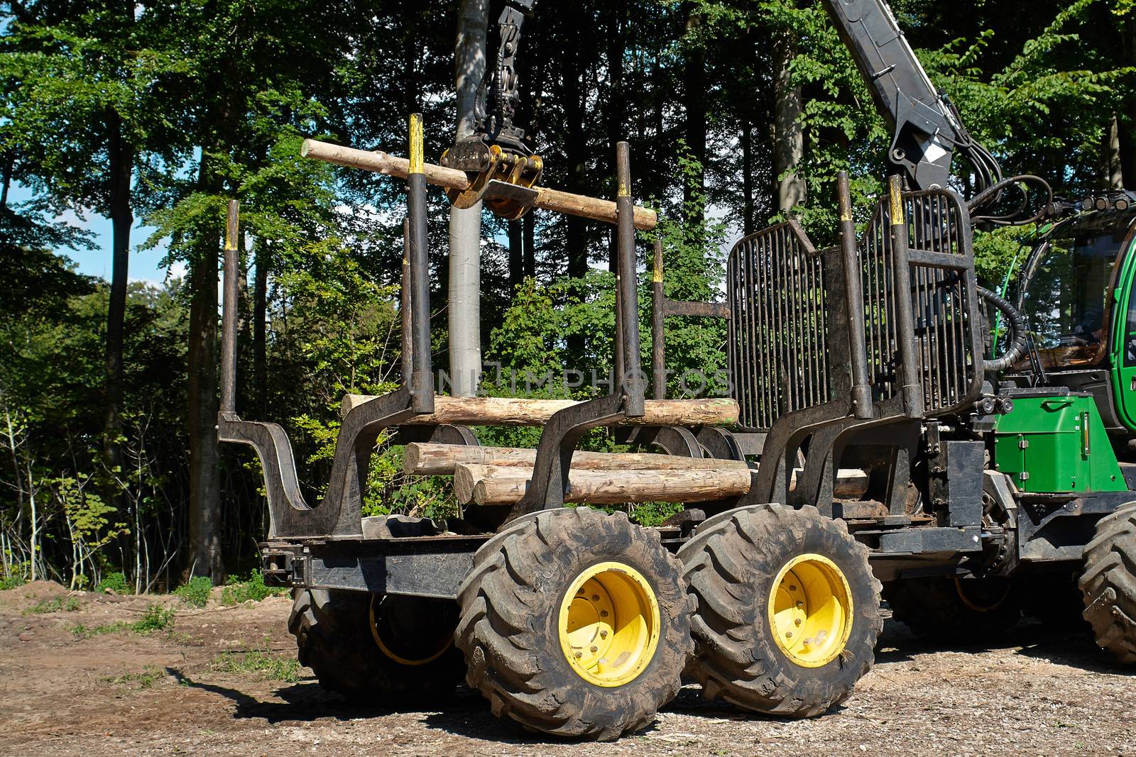 Heavy harvester loader doing forestry work by Ronyzmbow