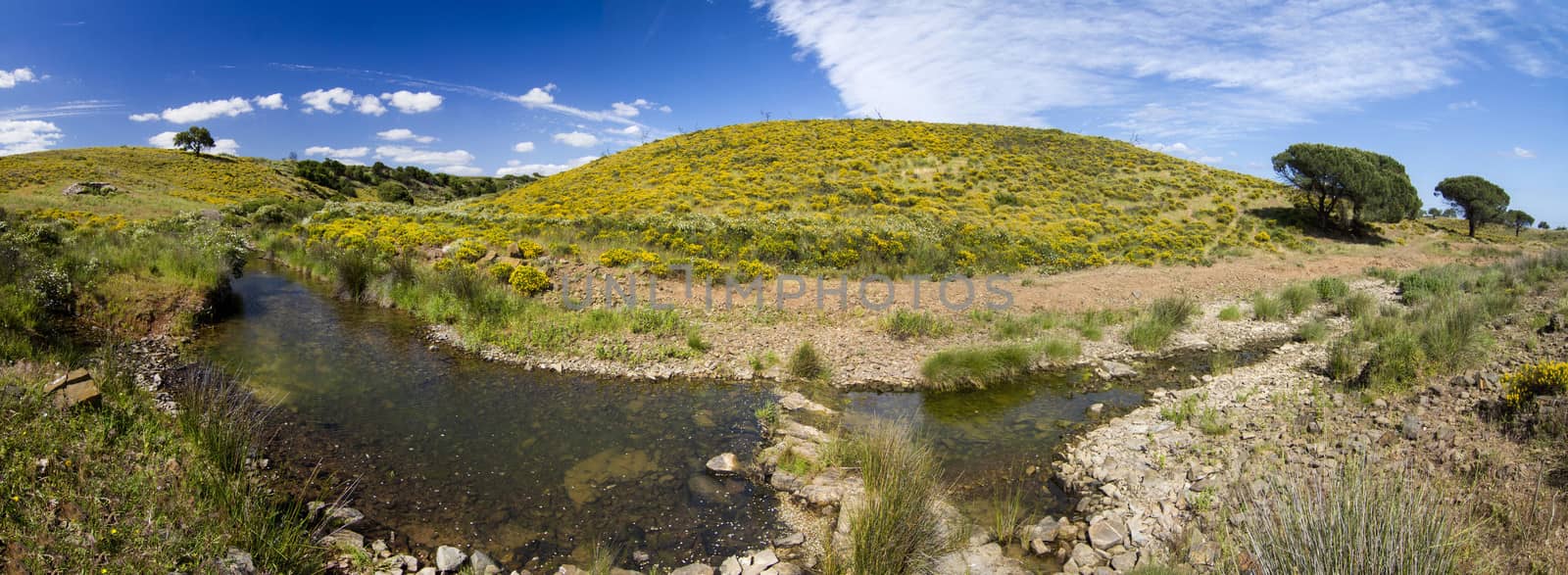 Beautiful spring view of a countryside stream of water located in Portugal by membio