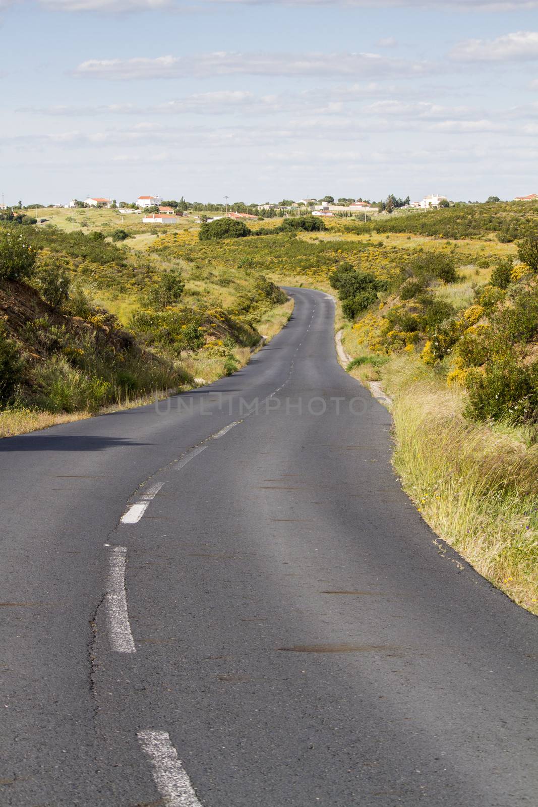 Long curvy asphalt road in the beautiful Algarve countryside. by membio