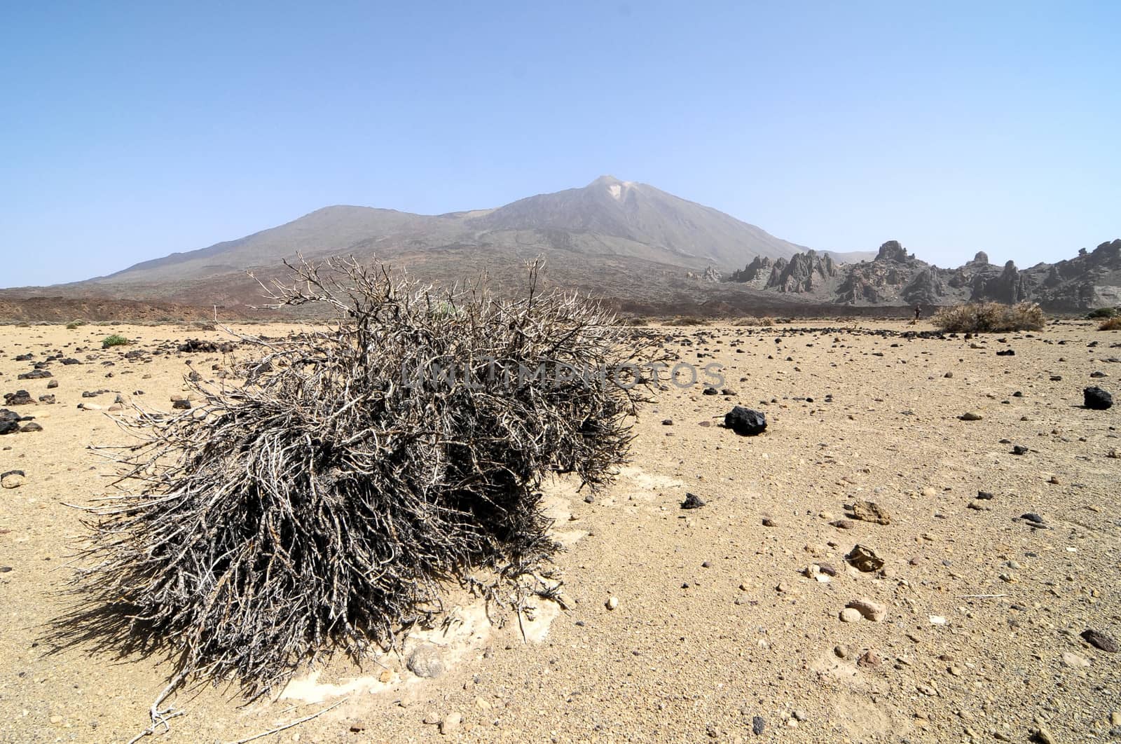 Sand and Rocks Desert on Teide Volcano, in Canary Islands, Spain