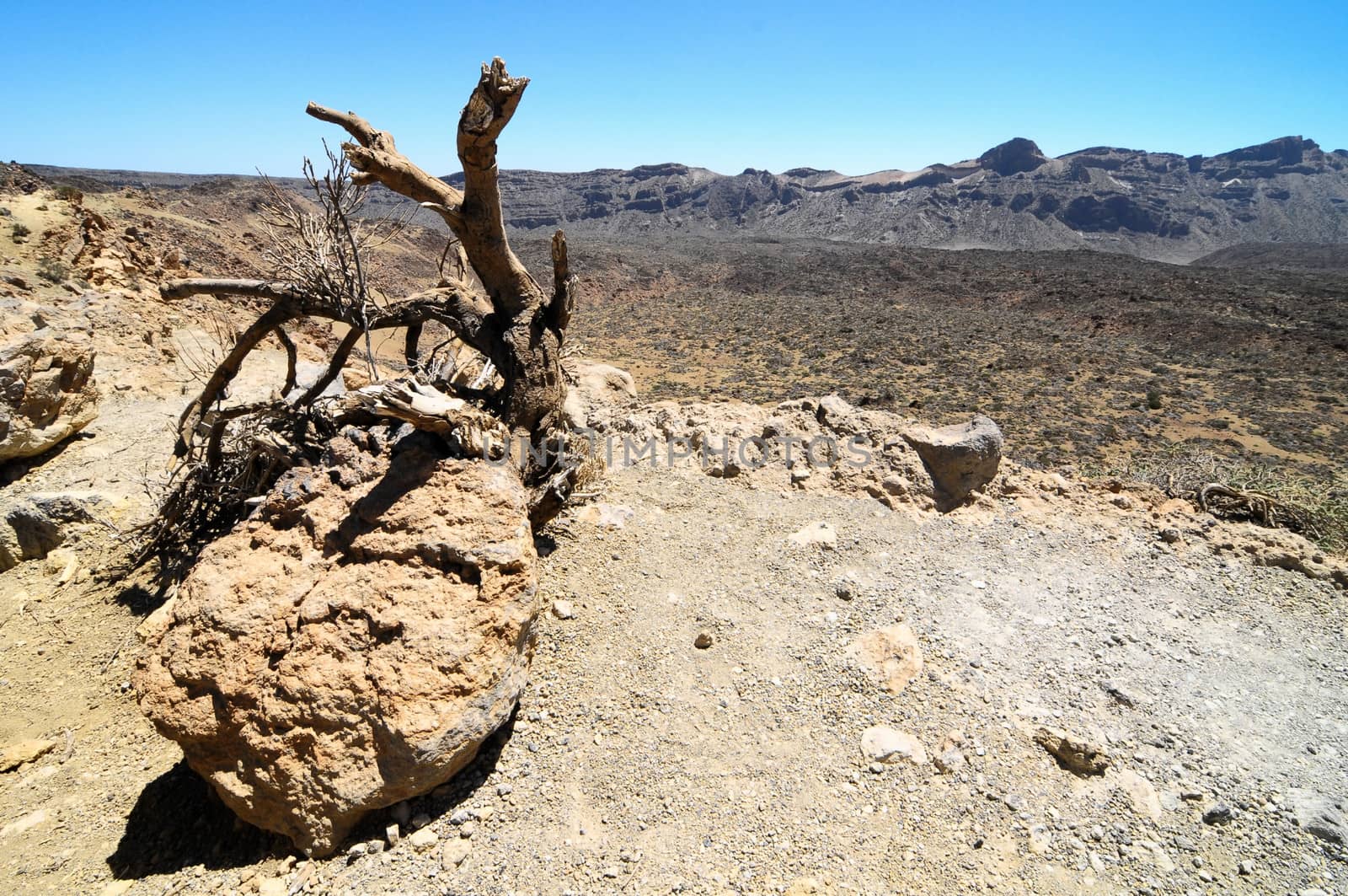 Sand and Rocks Desert by underworld