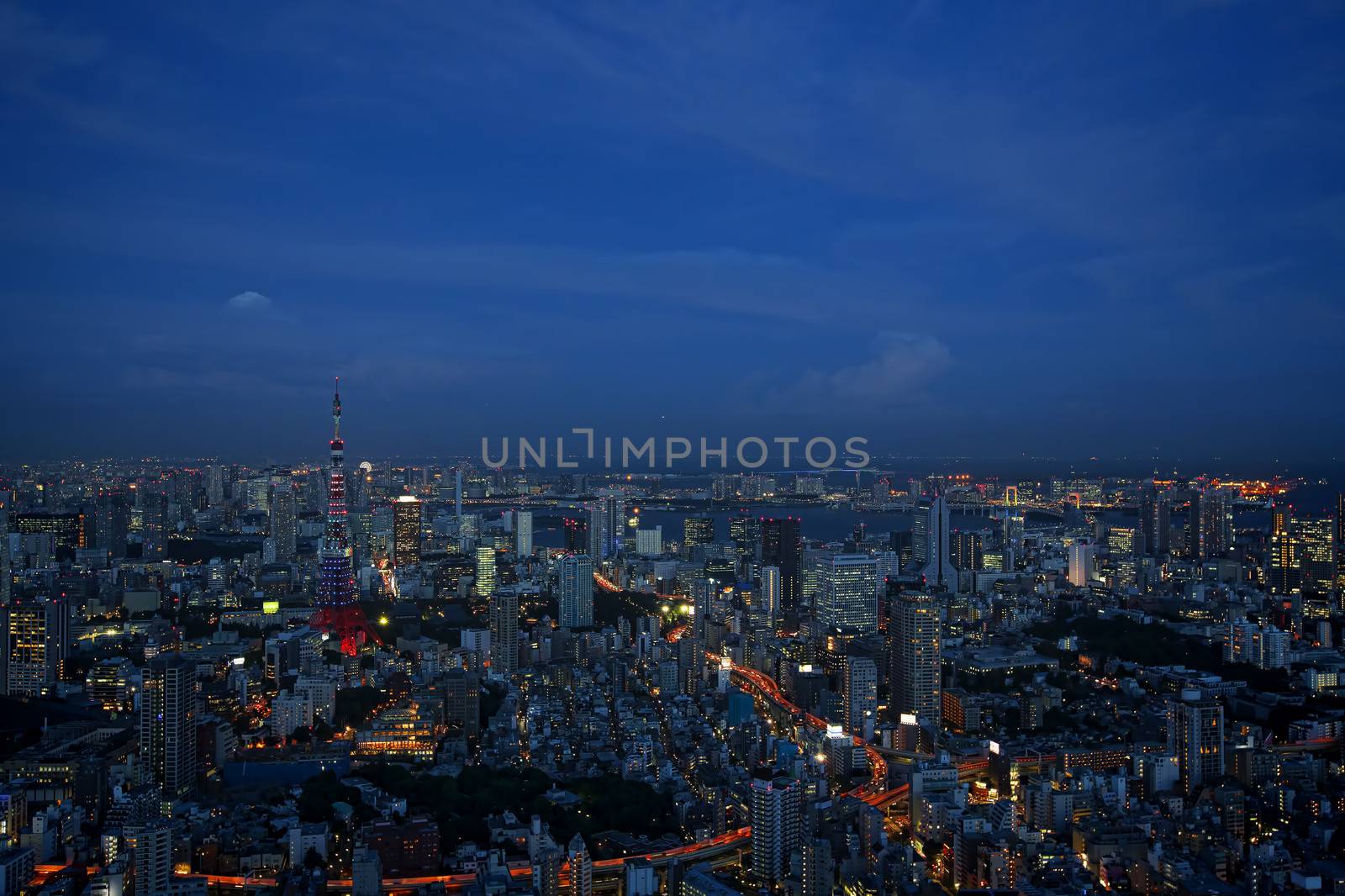 Tokyo Skyline by kjorgen