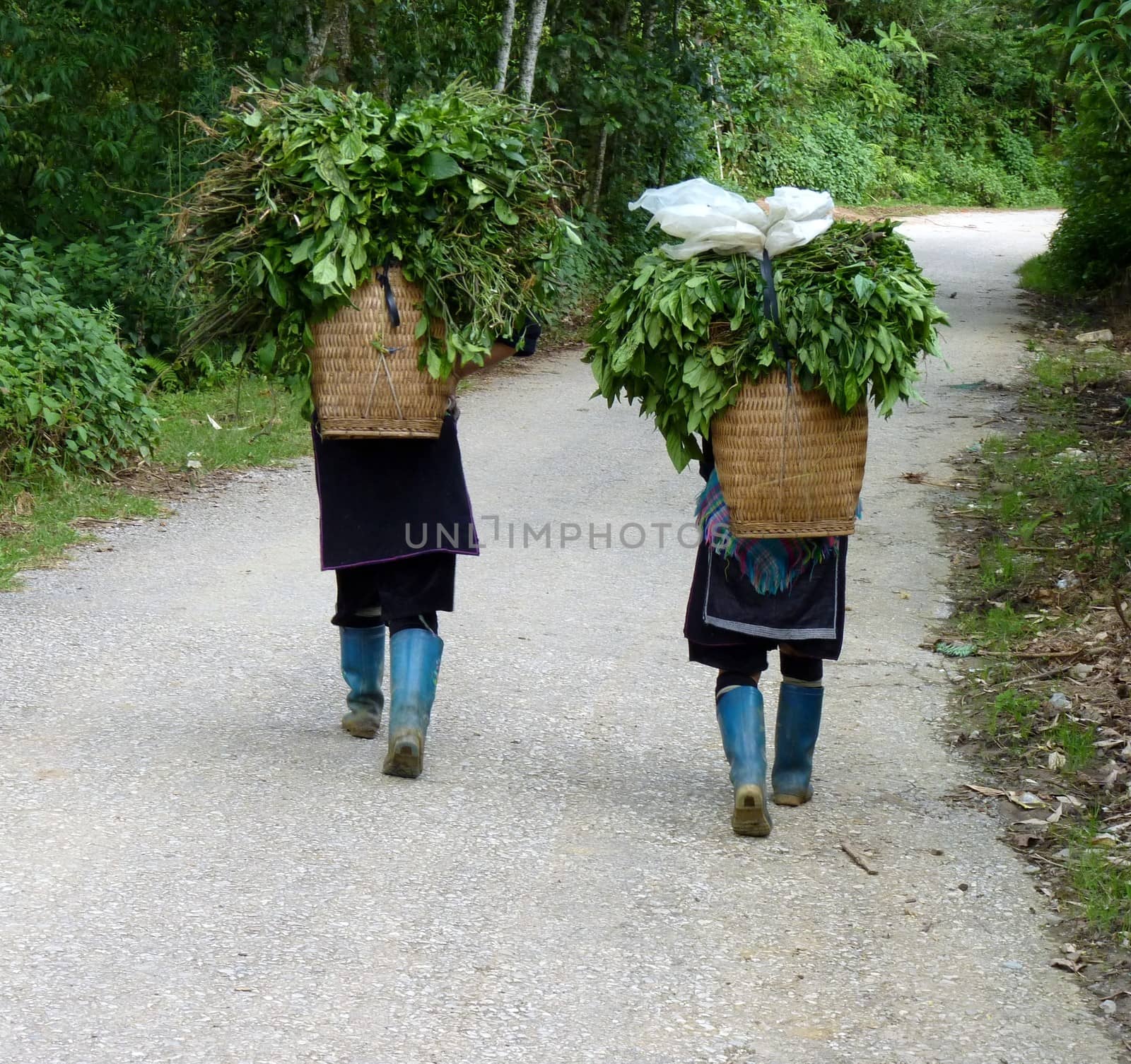 Hmong women by nicousnake