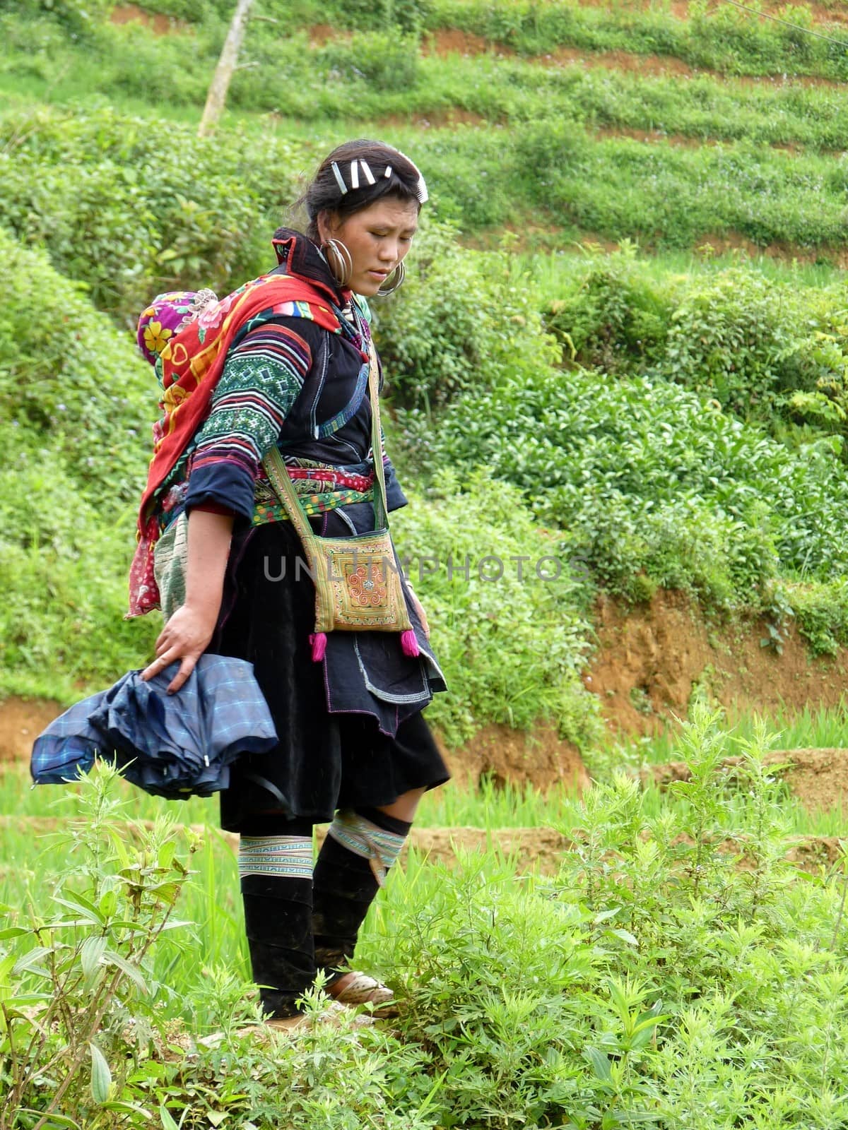 Hmong woman in Sapa, Vietnam