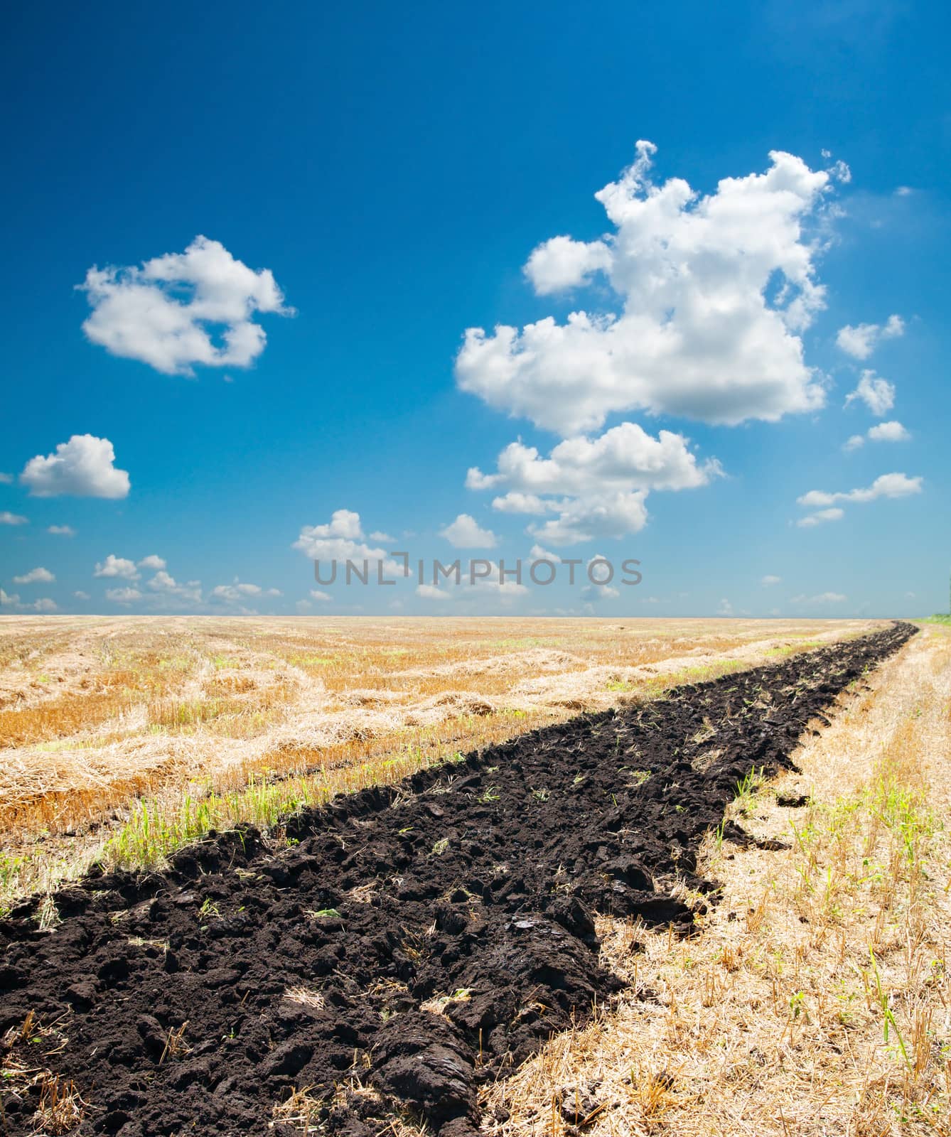 ploughed field under blue sky by mycola