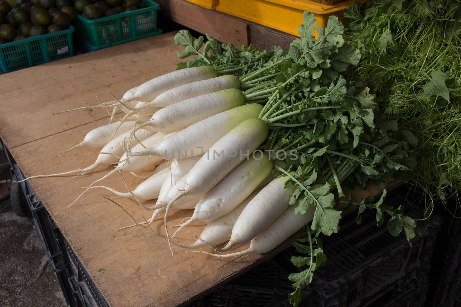 raw Chinese Radish in market