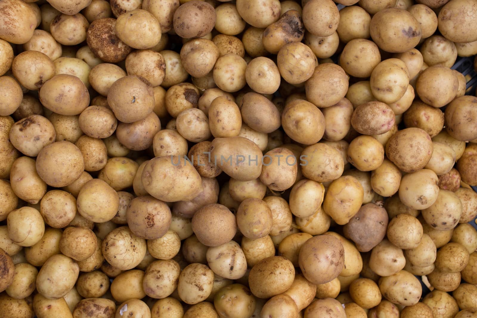 potato by ngarare