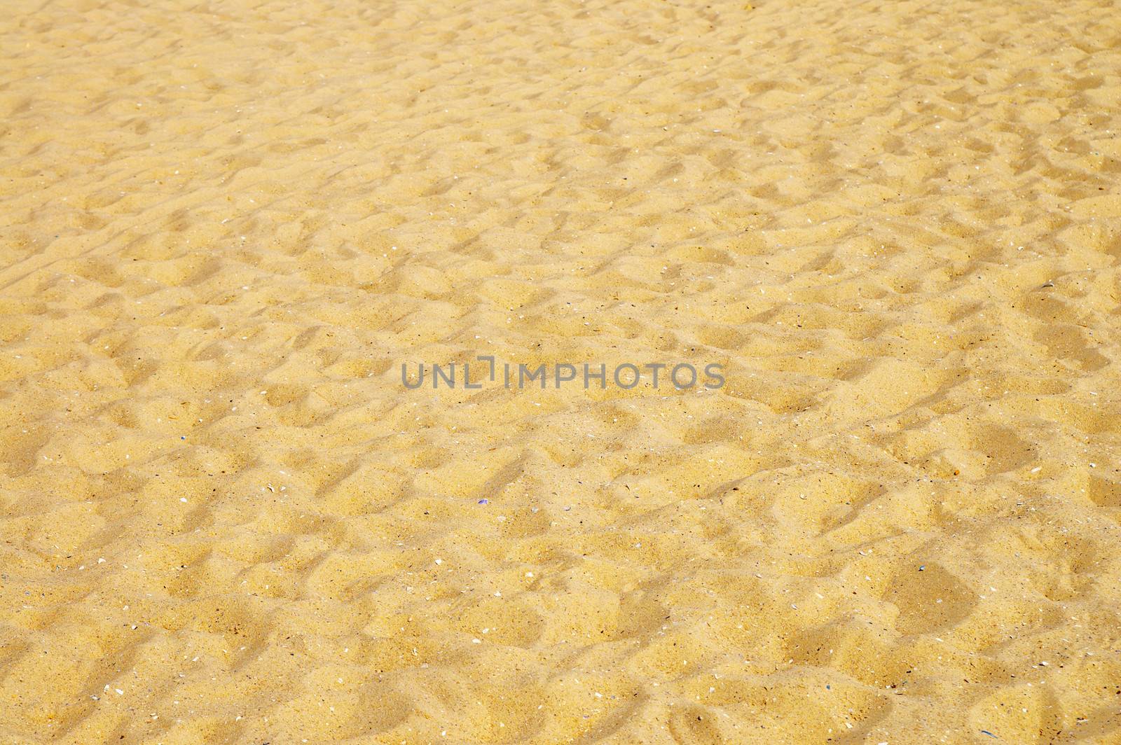 texture of yellow sand on the beach