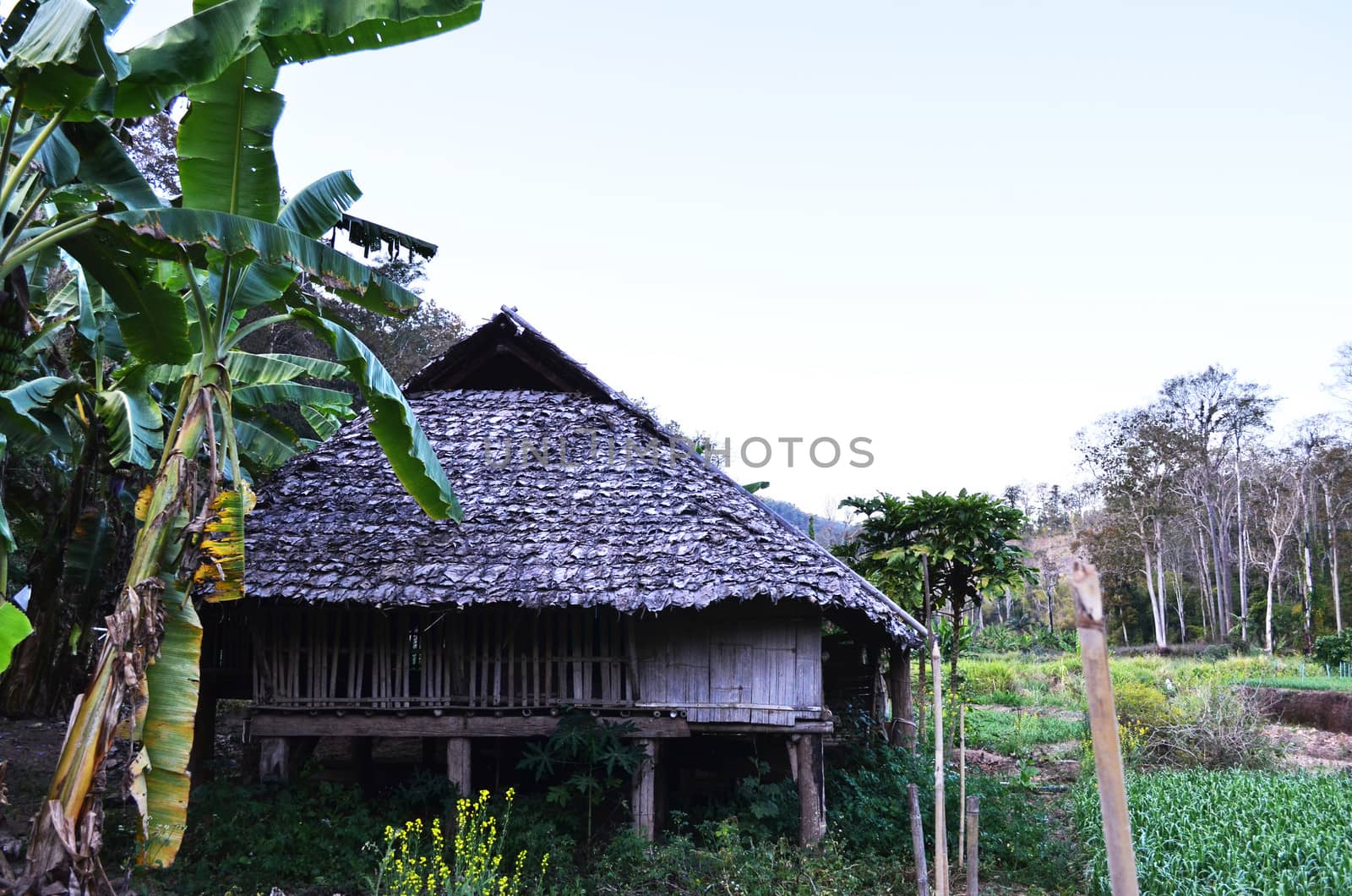 A Cottage Hut beside Hill in Country of Thailand.