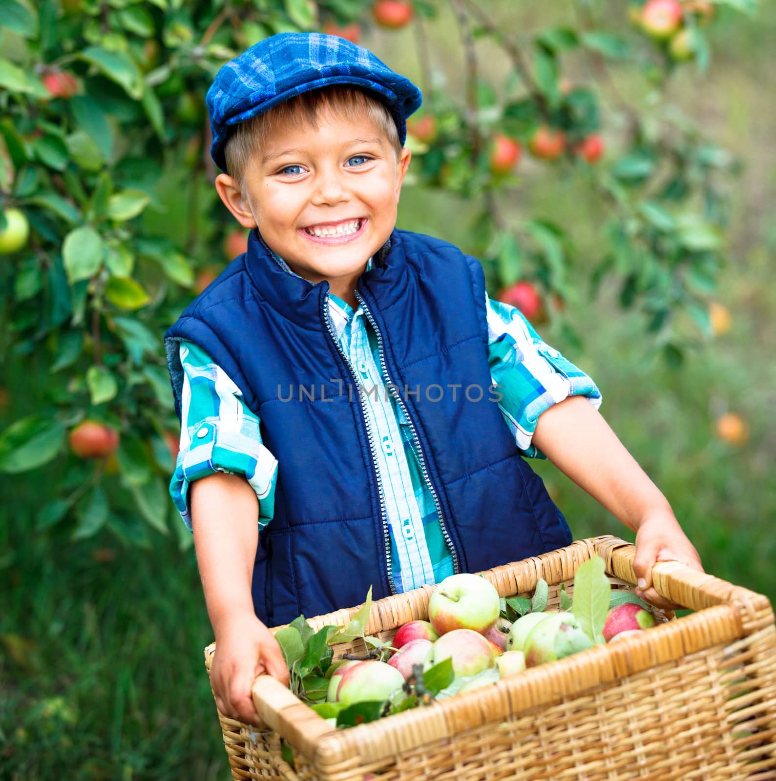 Cute boy in apple orchard by maxoliki