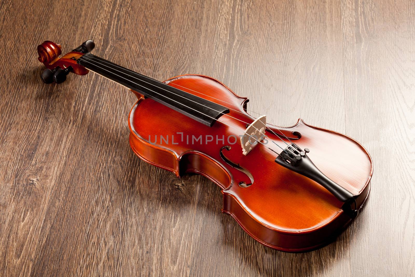 Red roses and a violin on the table