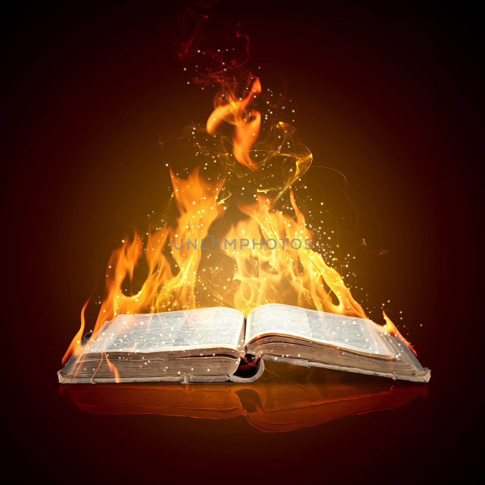 Burning book by sergey_nivens