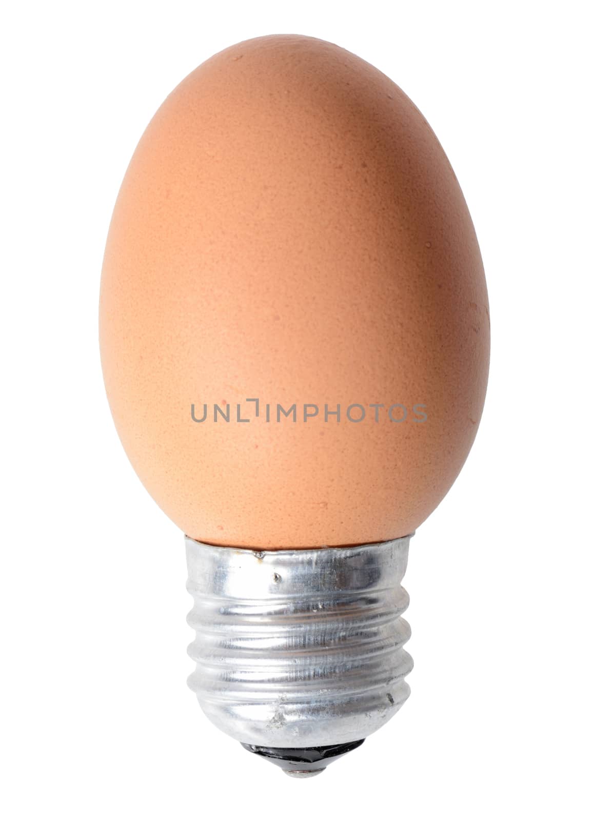 Egg light buld, concept of the start of a bright idea