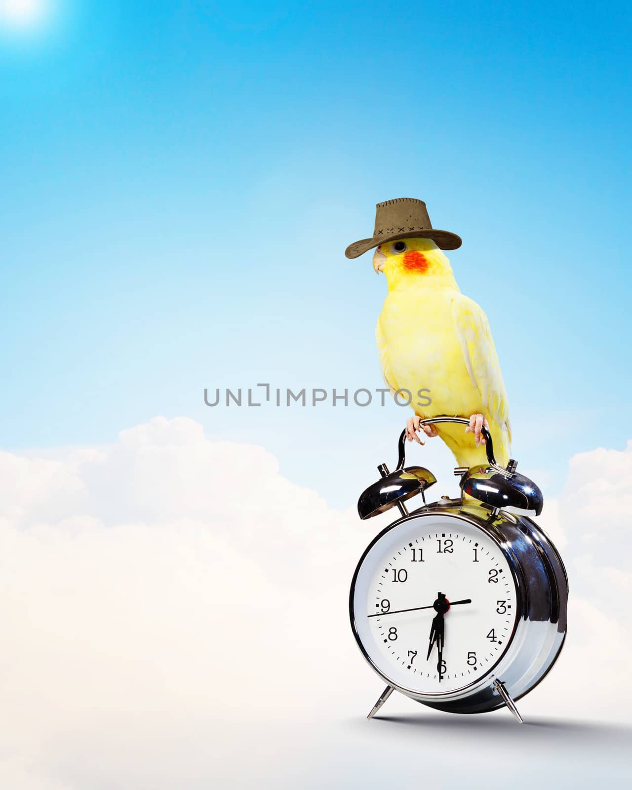 Image of yellow parrot sitting on alarm clock