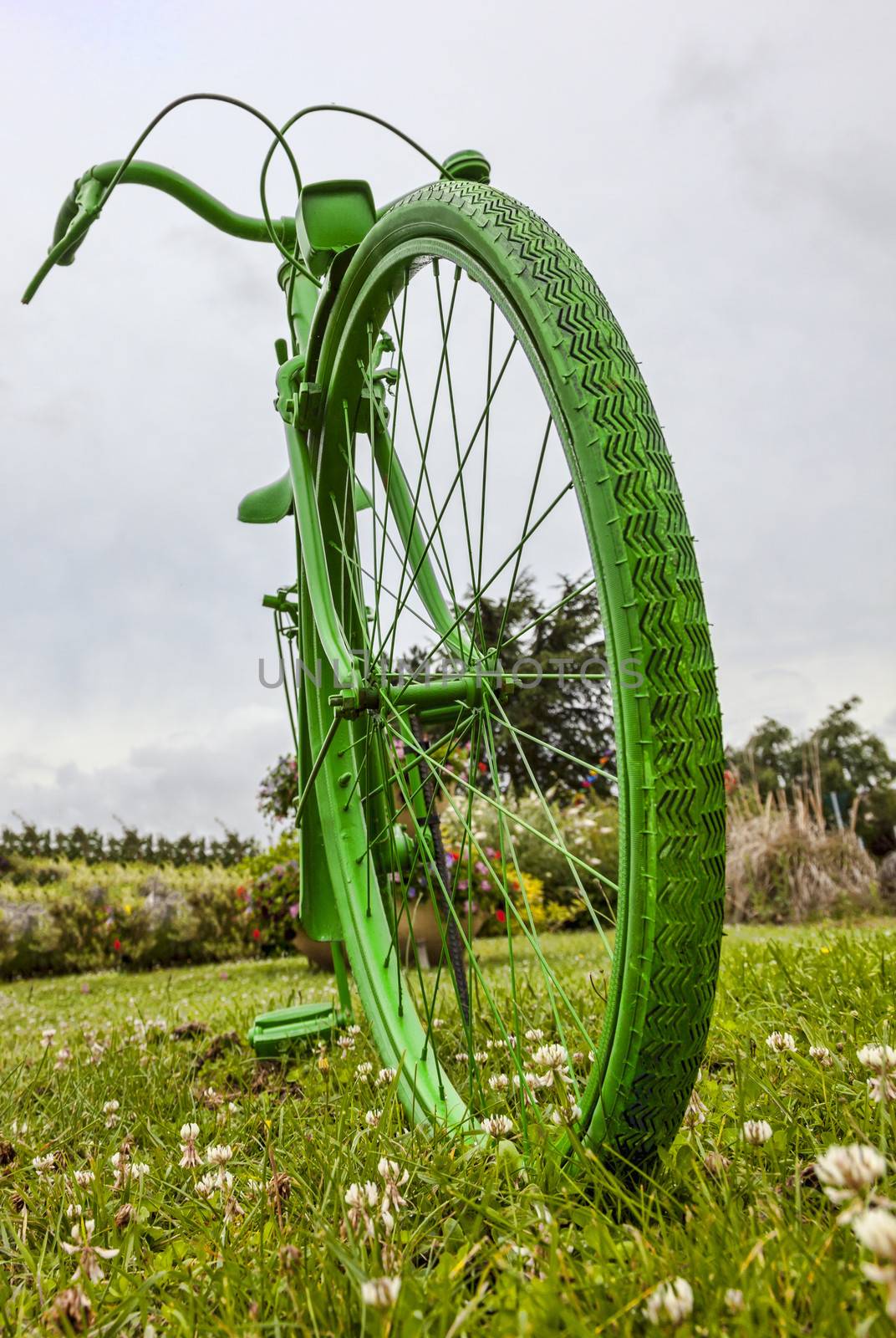 Green vintage bicycle in a green field.