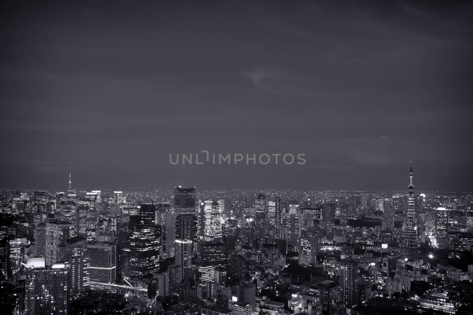 View from Roppongi Hills over Tokyo city at sunset