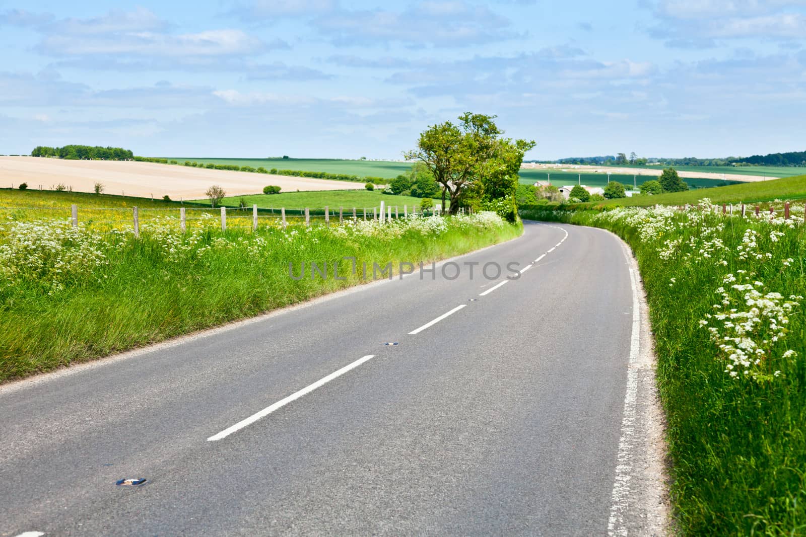 Road in England by naumoid