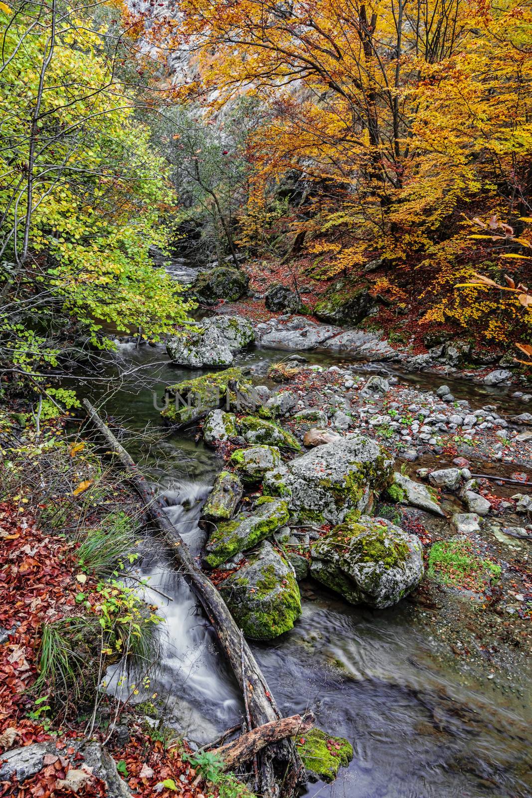 Autumn rocky landscape in the Rametului Gorges located in Apuseni Mountains, Transylvania,Romania.