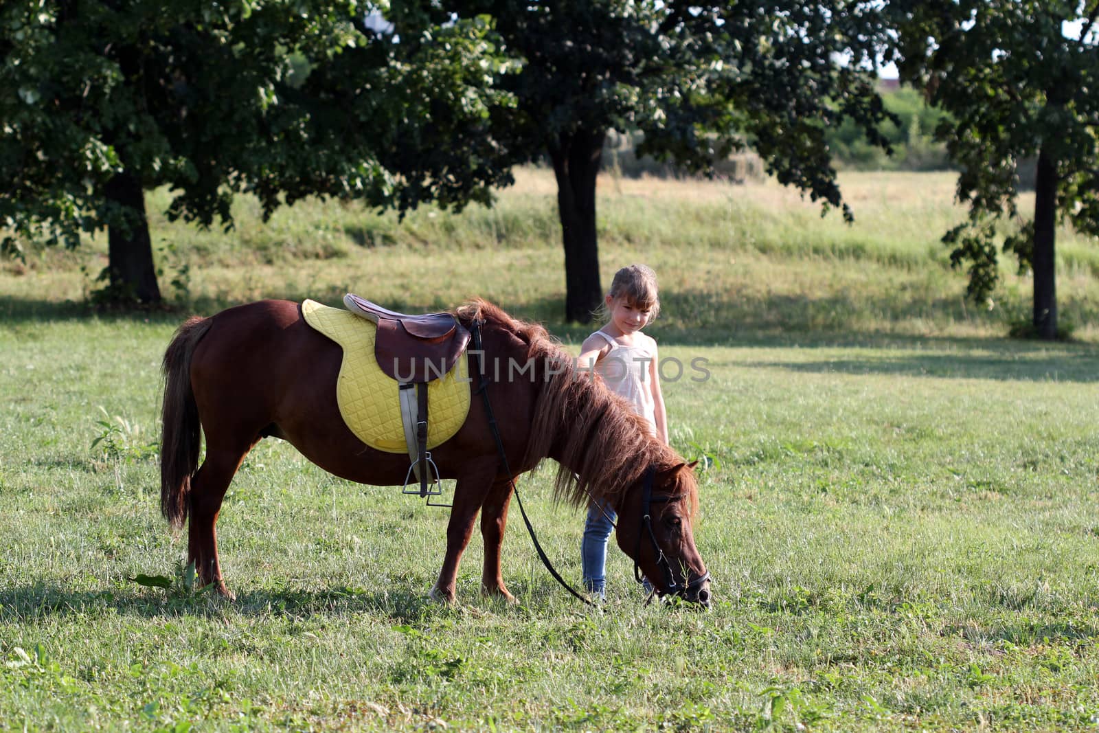 beautiful little girl and pony horse on field