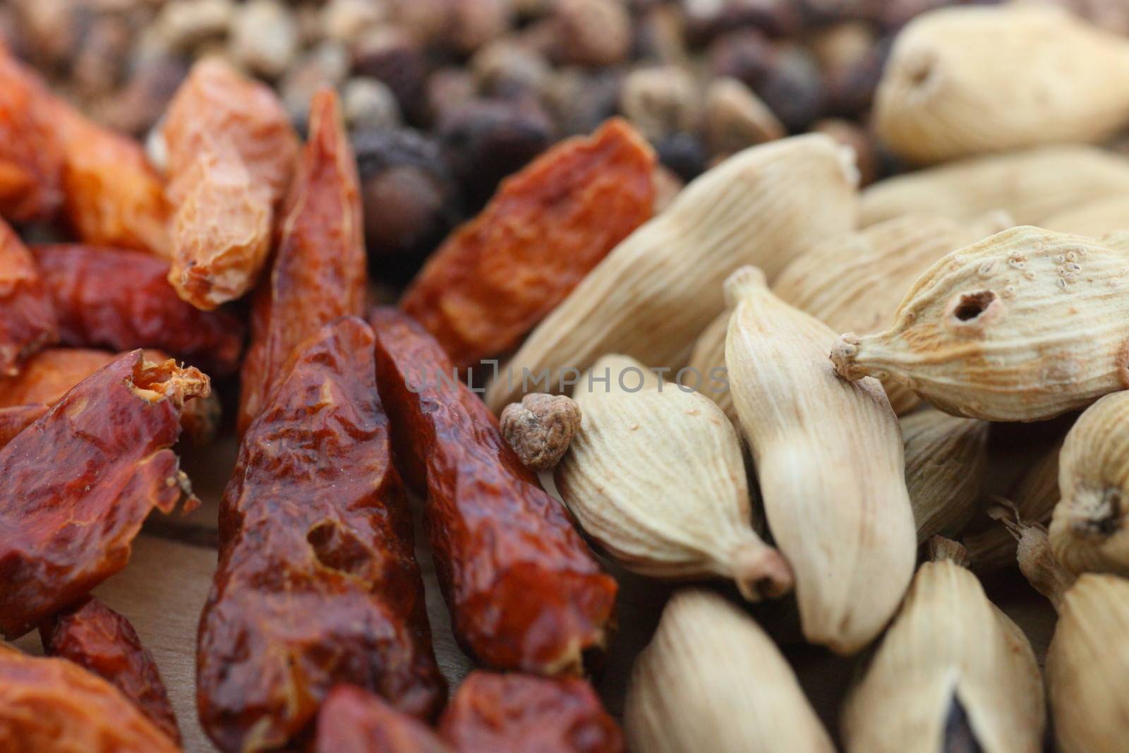 Close up view of dried red hot cayenne chilli peppers and cardamom pods, pungent aromatic spices used in Asian cuisine as a seasoning