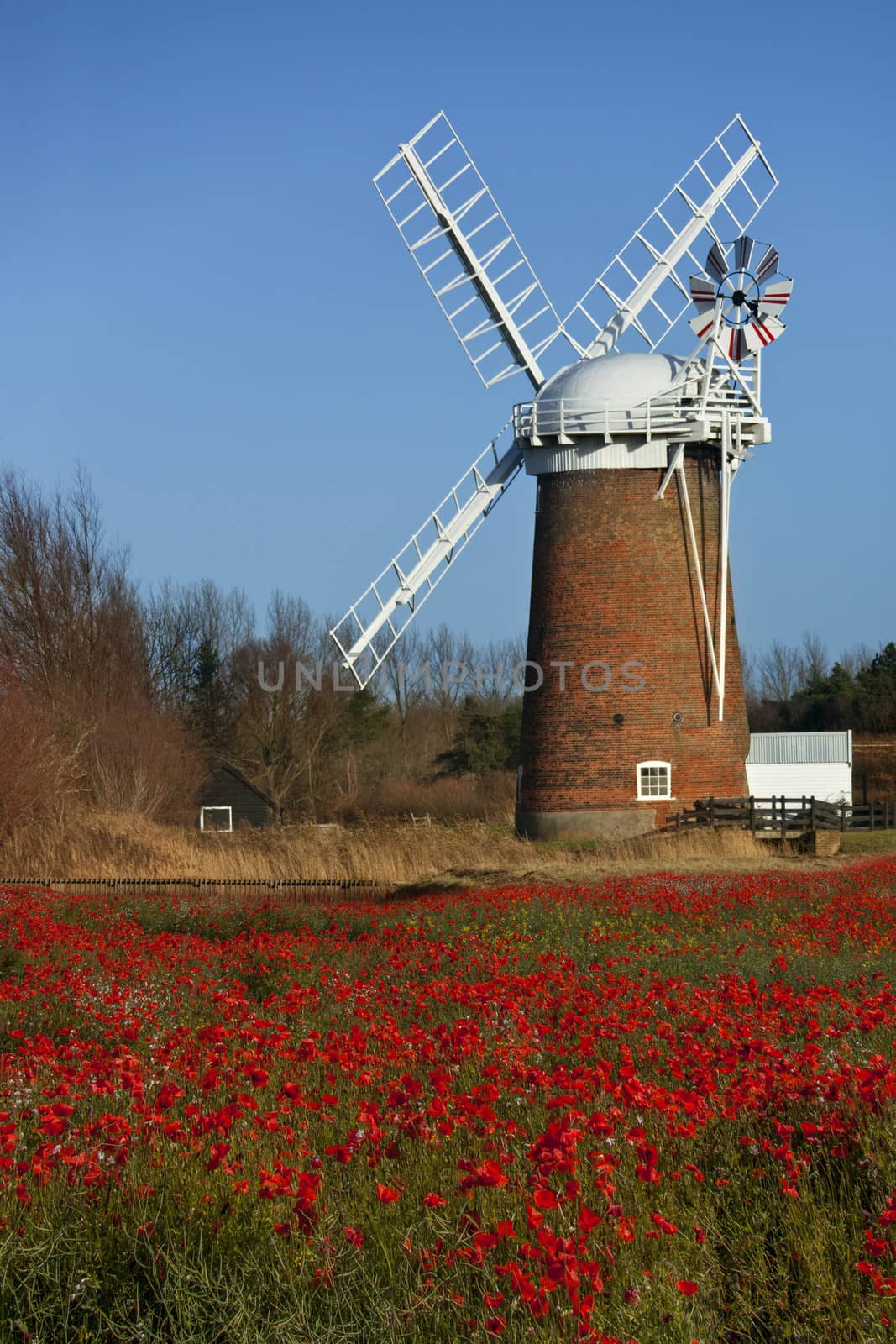 Horsey Windpump on the Horsey Marshes in Norfolk, England. The pump was used to drain the surrounding marsh land as this whole area is prone to flooding. 