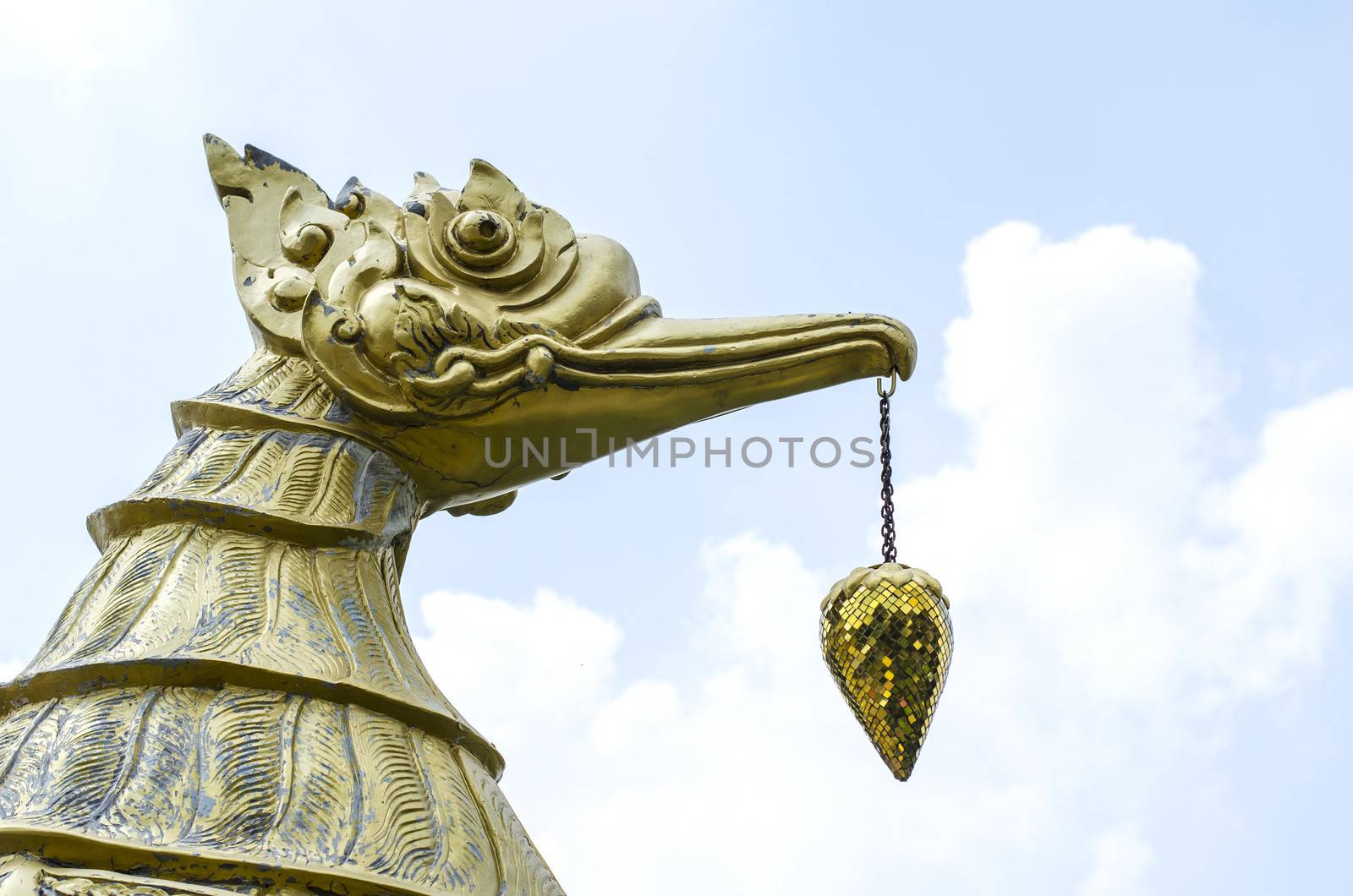 Thai swan see in temple of Thailand