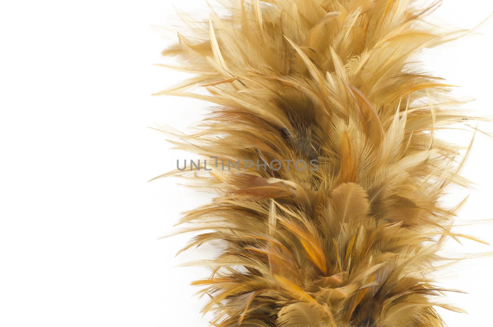 Feather broom isolated on white background