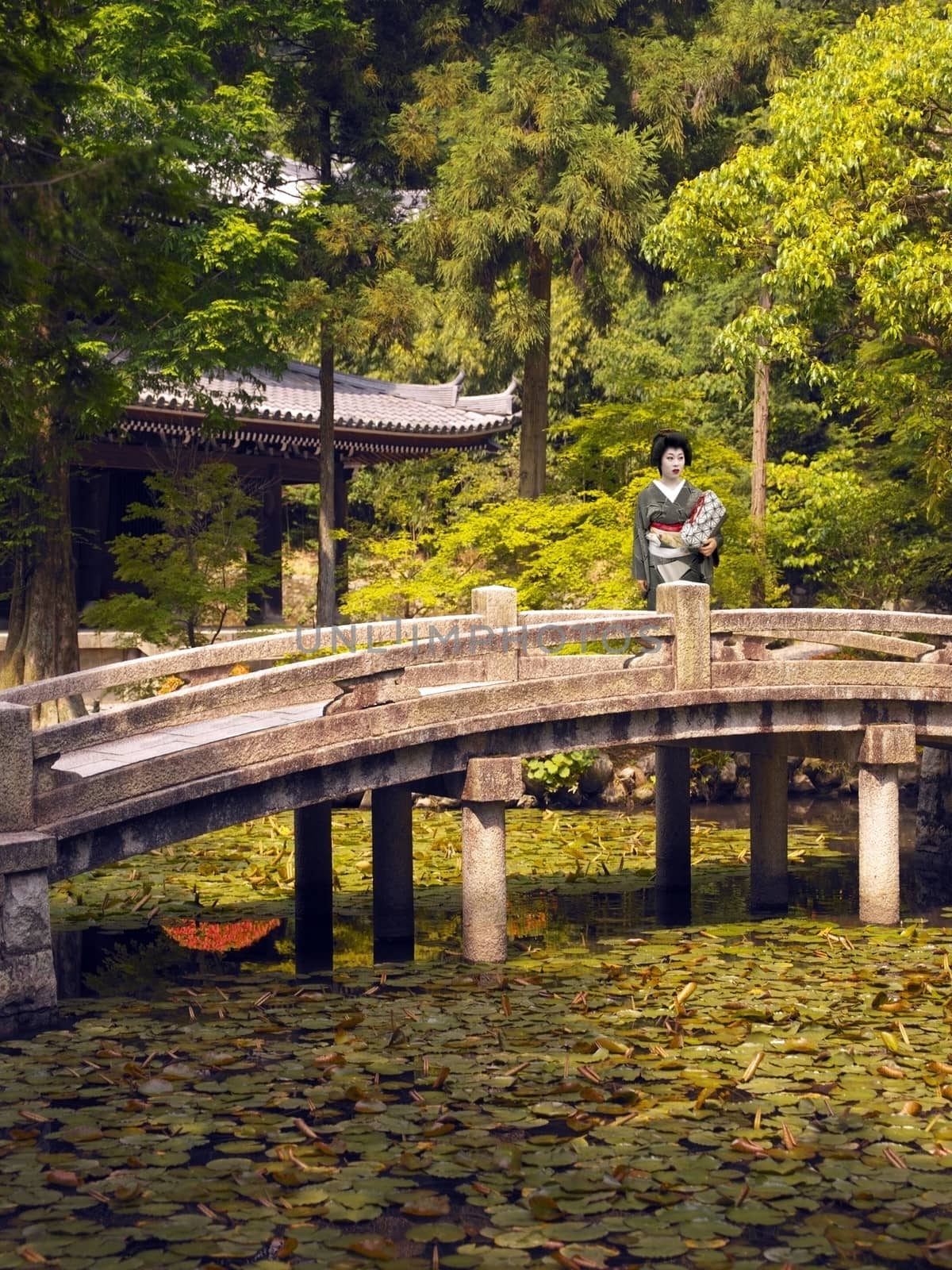 A Japanese Geisha standing on an ornamental bridge in the gardens of Chion-in Temple in the city of Kyoto, Japan.