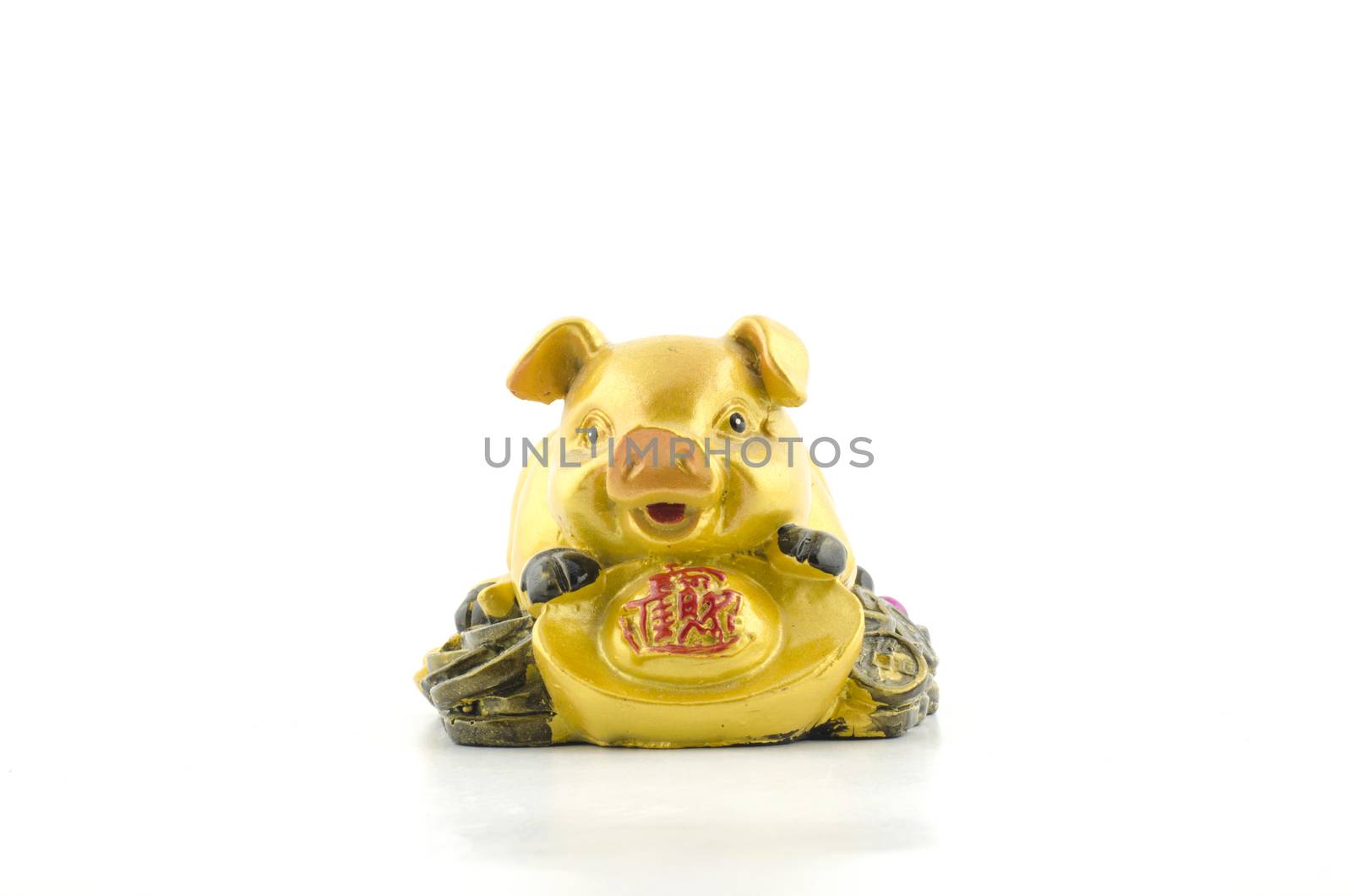 gold pig on coin isolated  by ammza12