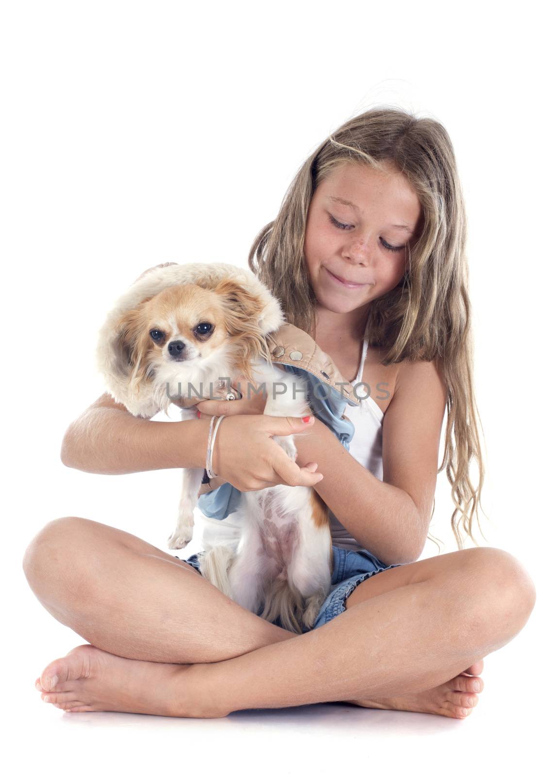 young girl and dressed chihuahua in front of white background