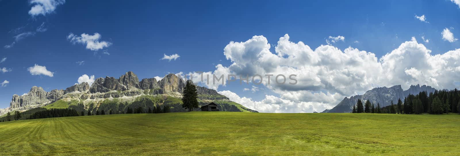 Dolomiti, Catinaccio and Latemar panorama from Colbleggio meadow