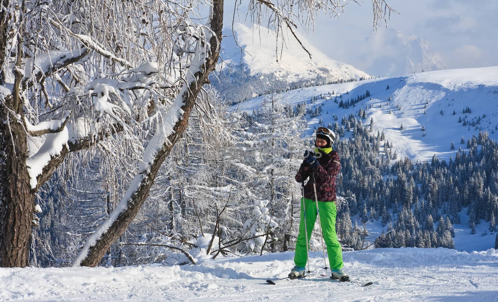 Alpine skier. Ski resort of Selva di Val Gardena, Italy by nikolpetr