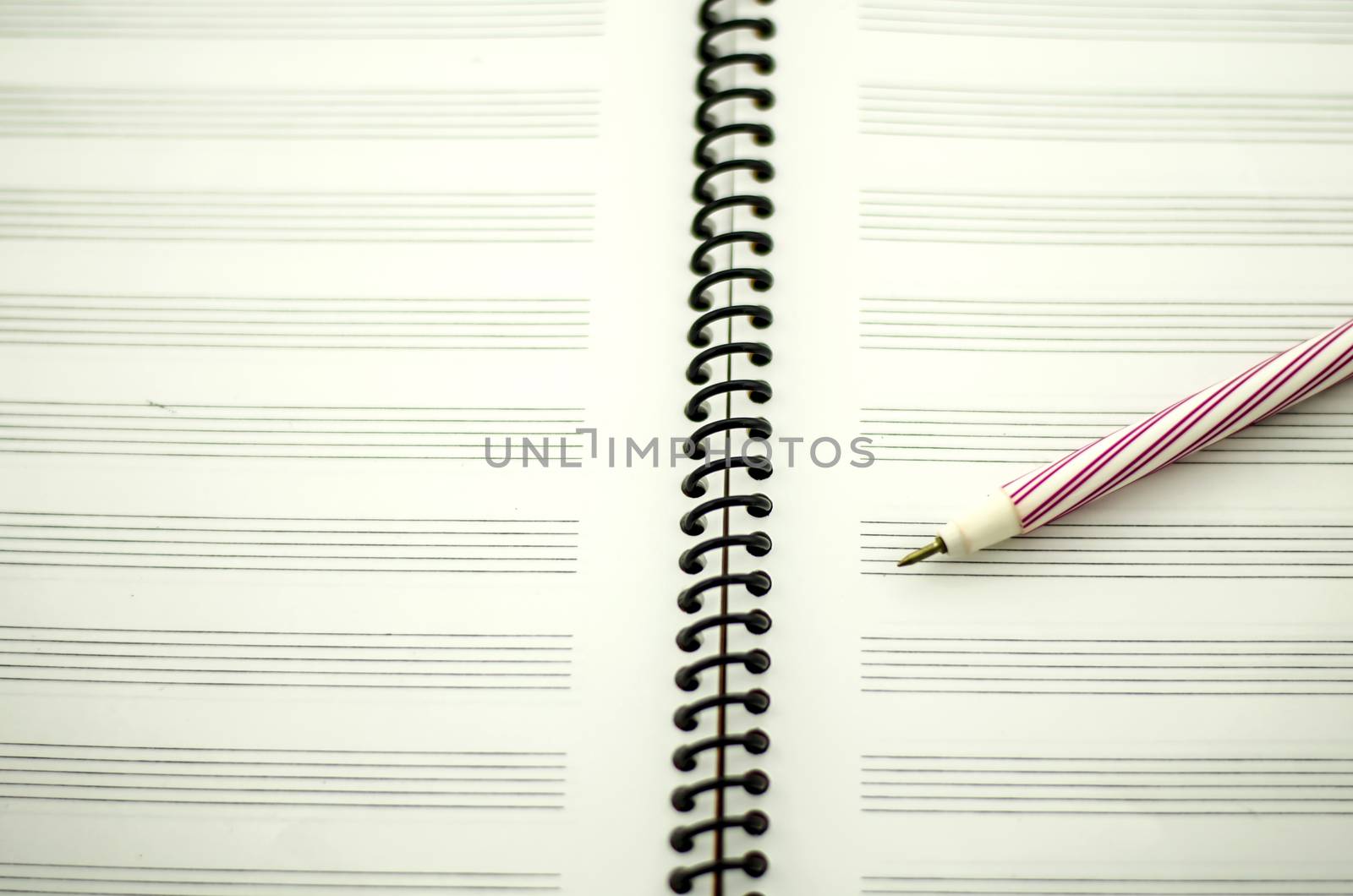 music notebook and red pen ready to wite your own song