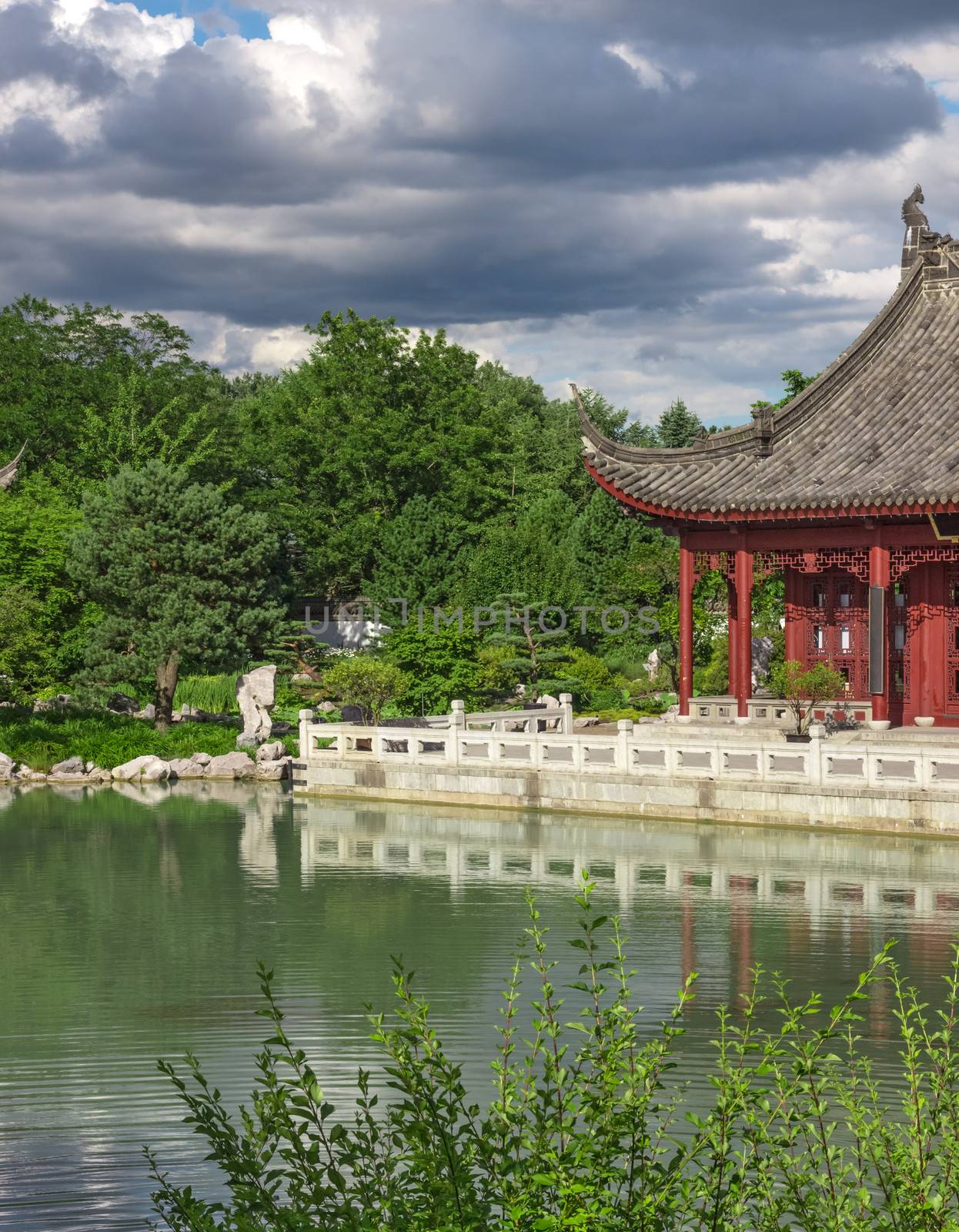Chinese garden in summer by anikasalsera