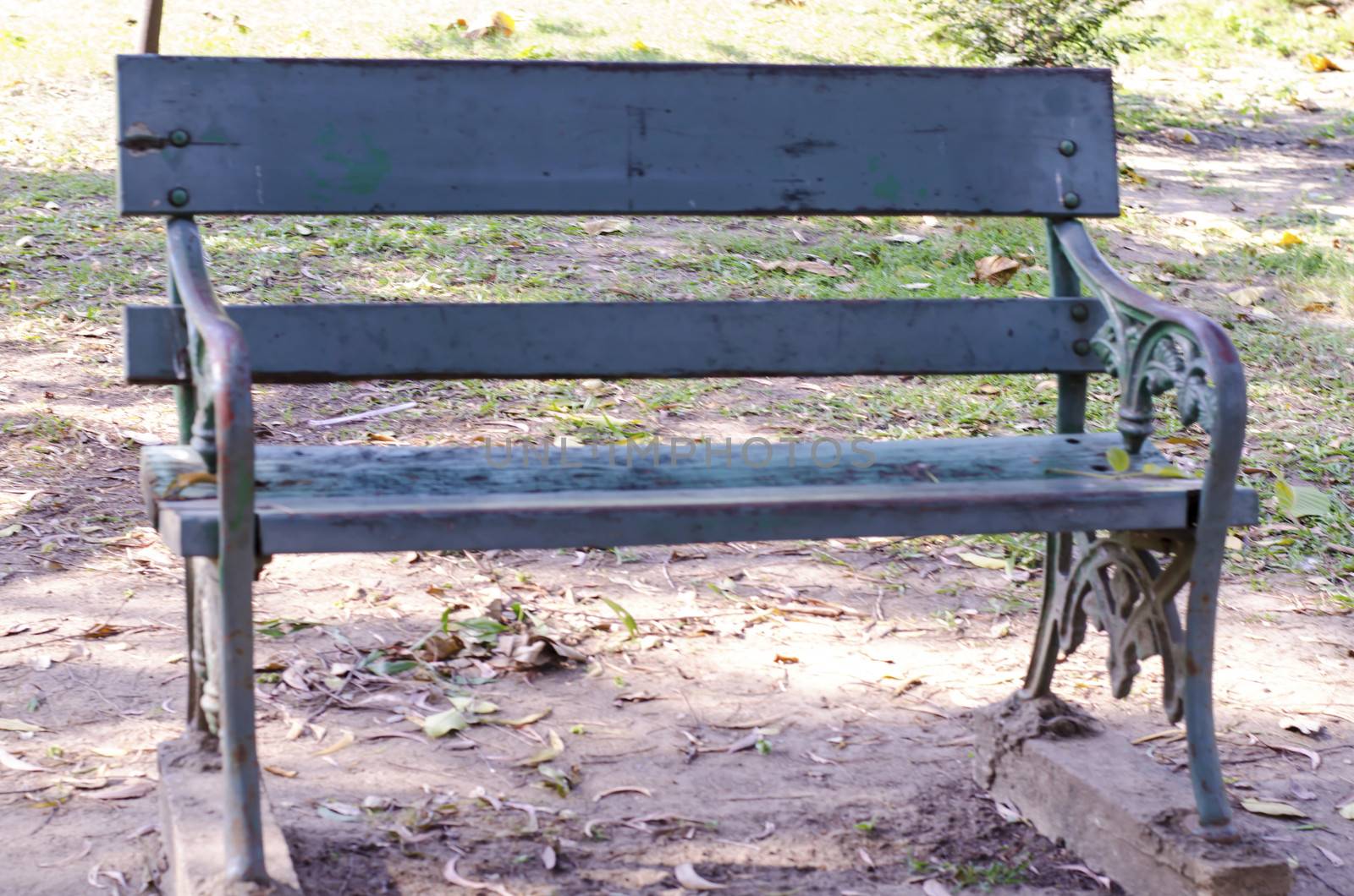 bench in the garden and park