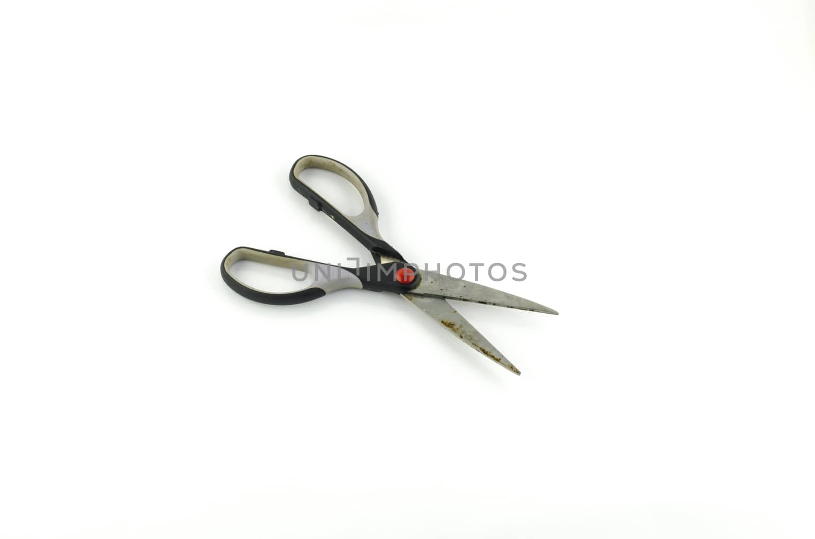Scissors isolated on white by ammza12