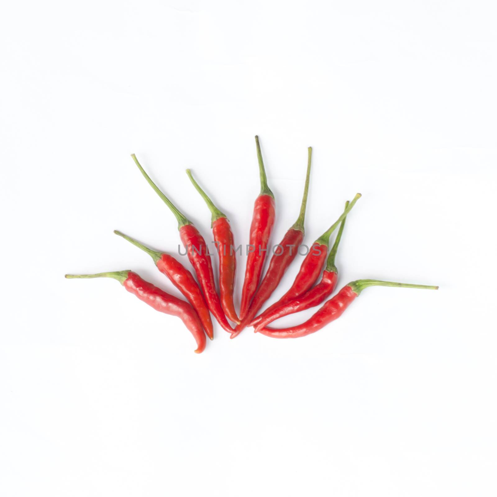 pepper isolated on white by ammza12