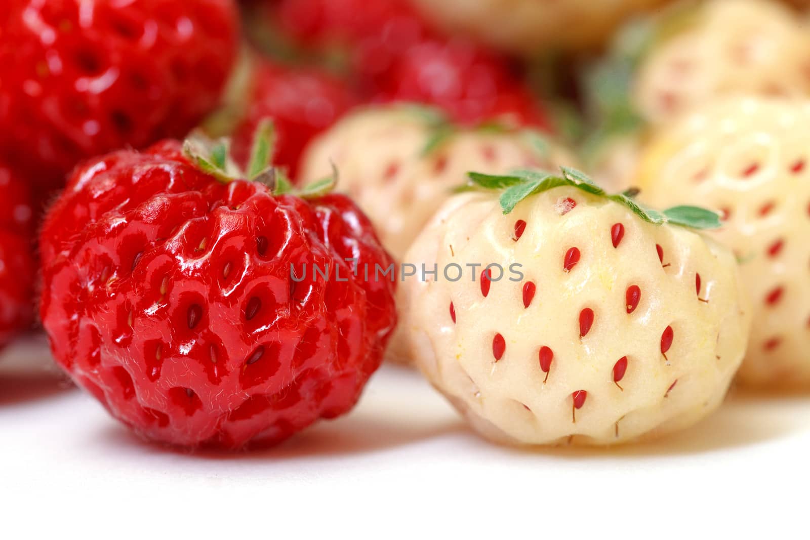 Ripe White and Red Strawberries by Discovod